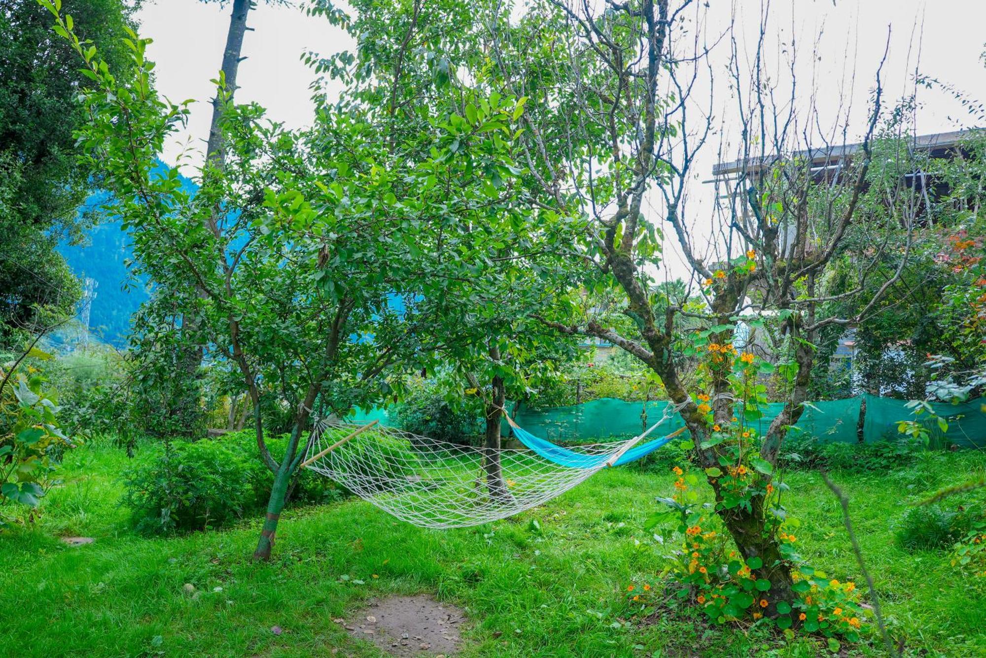 Nature Valley View Resort Manali 2 Bedrooms Luxury Cottages And Valley View Экстерьер фото
