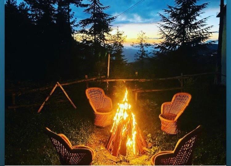 Nature Valley View Resort Manali 2 Bedrooms Luxury Cottages And Valley View Экстерьер фото
